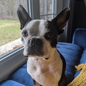 Meet your Posher, Jayna